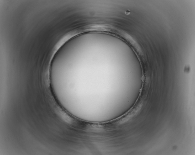 X0000100971370200807151341