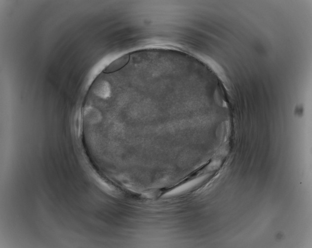 X0000100971371200807151341