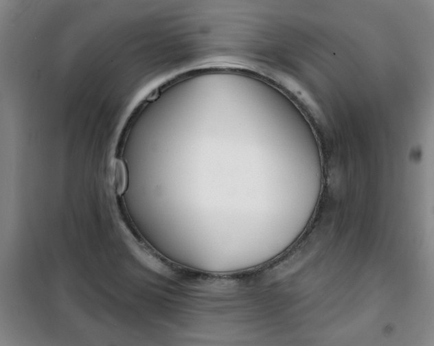 X0000100971372200807151341