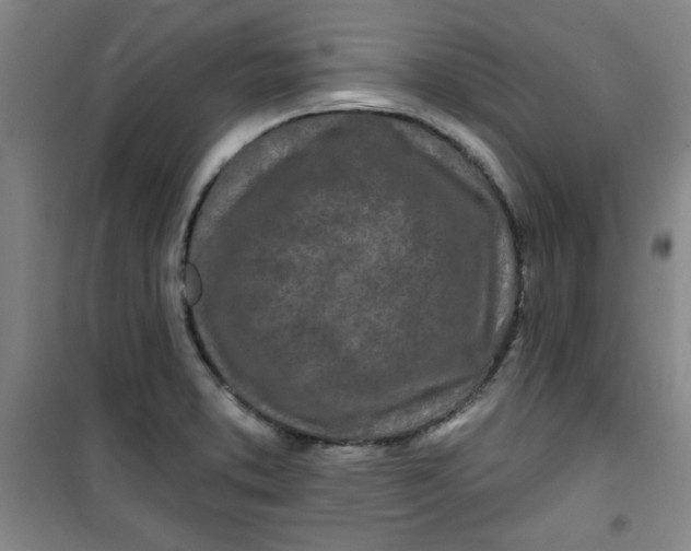 X0000100971373200807151341