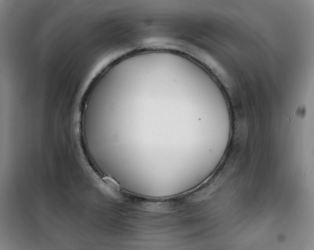X0000100971376200807151341