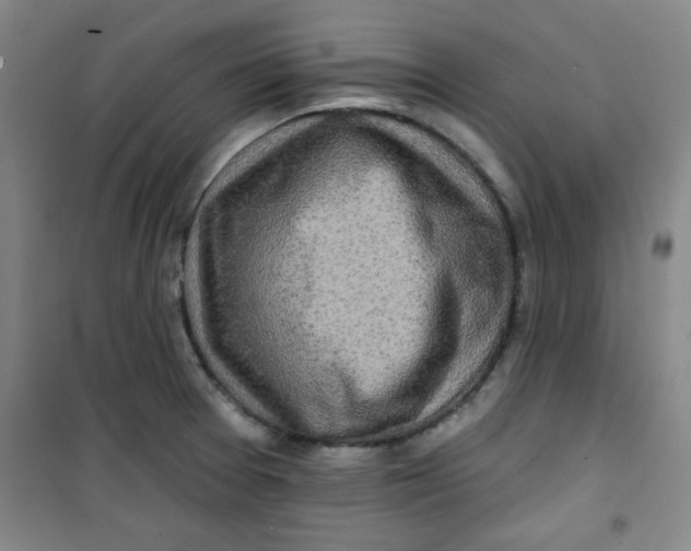 X0000100971377200807151341