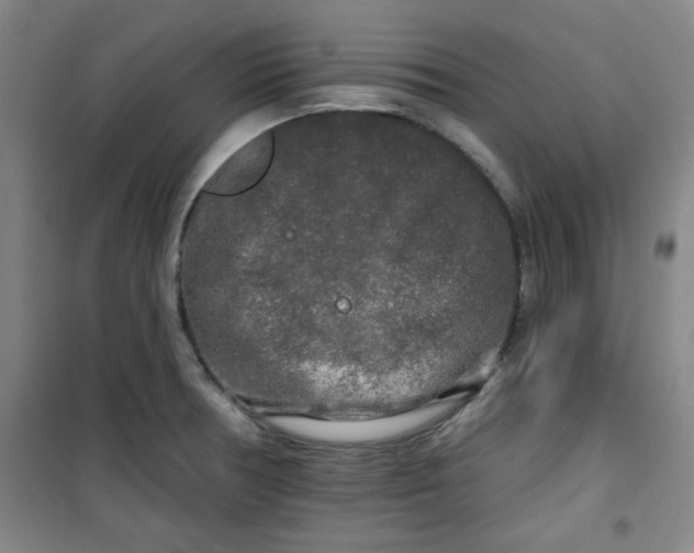 X0000100971378200807151341