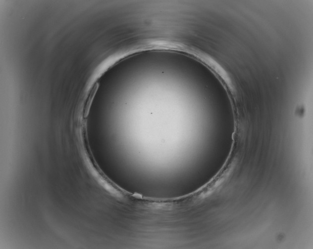 X0000100971381200807151341