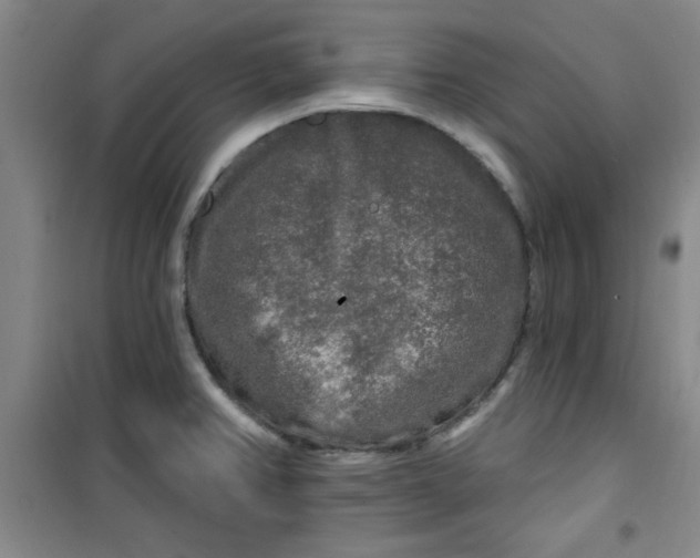 X0000100971382200807151341