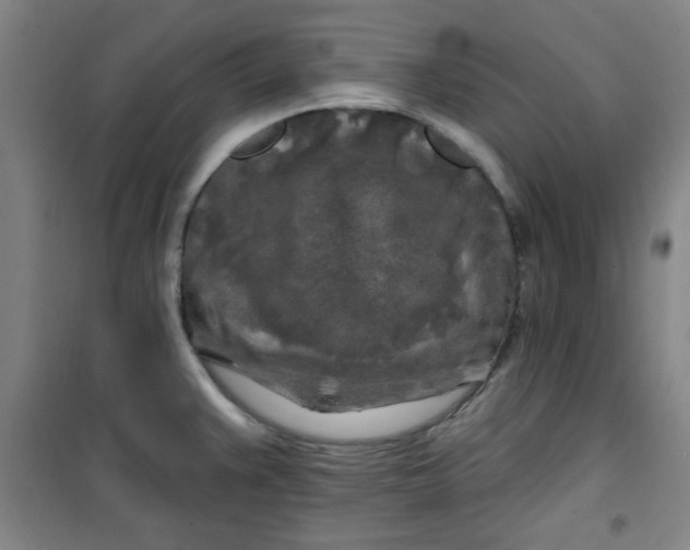X0000100971383200807151341