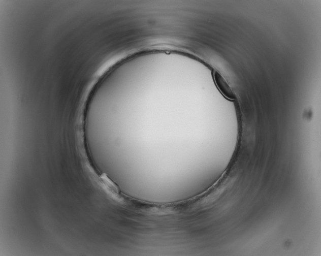 X0000100971384200807151341