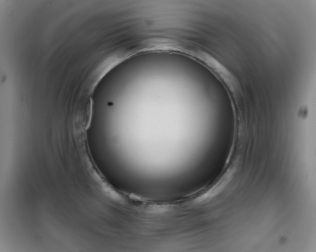 X0000100971385200807151341