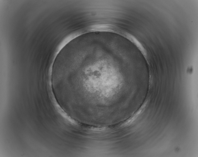 X0000100971386200807151341