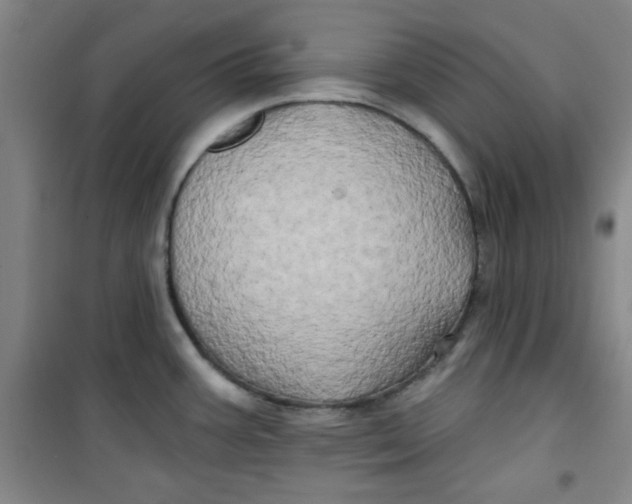 X0000100971387200807151341