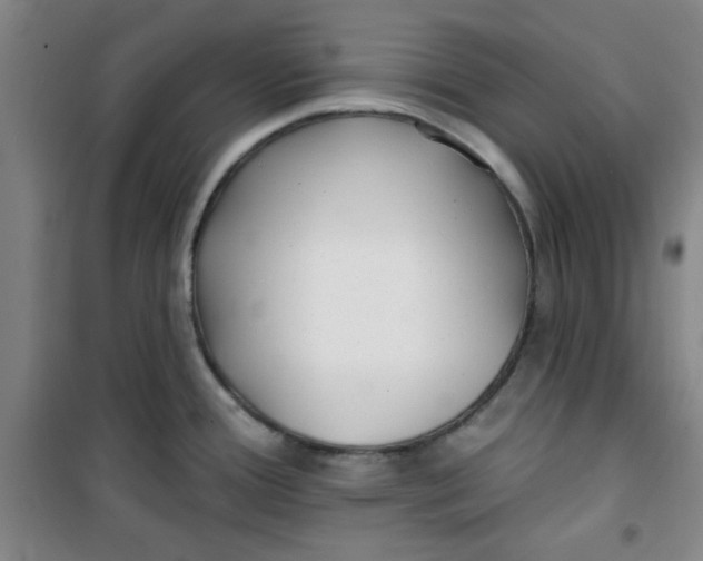 X0000100971388200807151341