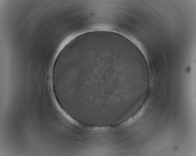 X0000100971389200807151341