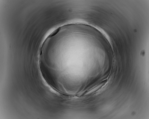 X0000100971390200807151341
