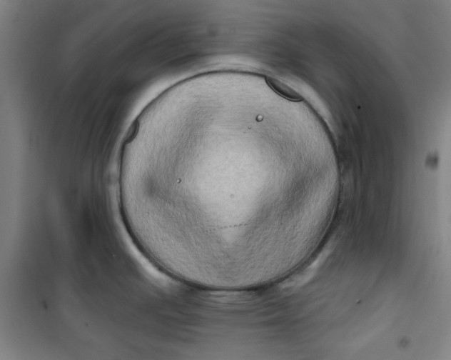 X0000100971391200807151341