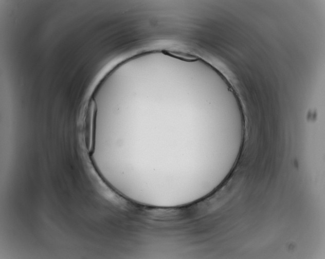X0000100971392200807151341