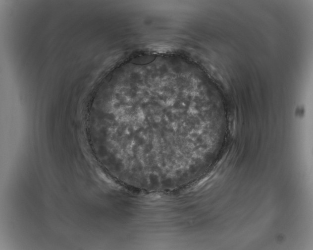 X0000100971393200807151340
