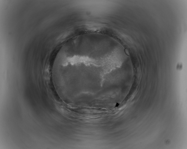 X0000100971394200807151340