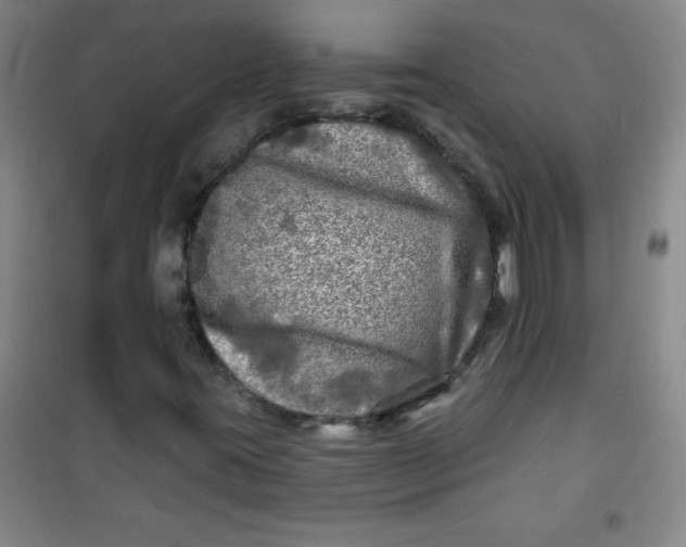 X0000100971395200807151340