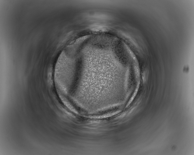 X0000100971396200807151340