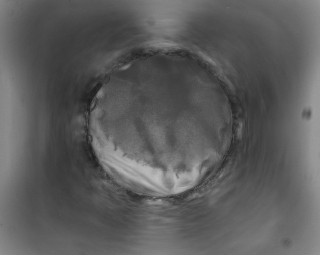 X0000100971397200807151340