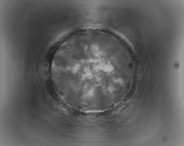 X0000100971399200807151340