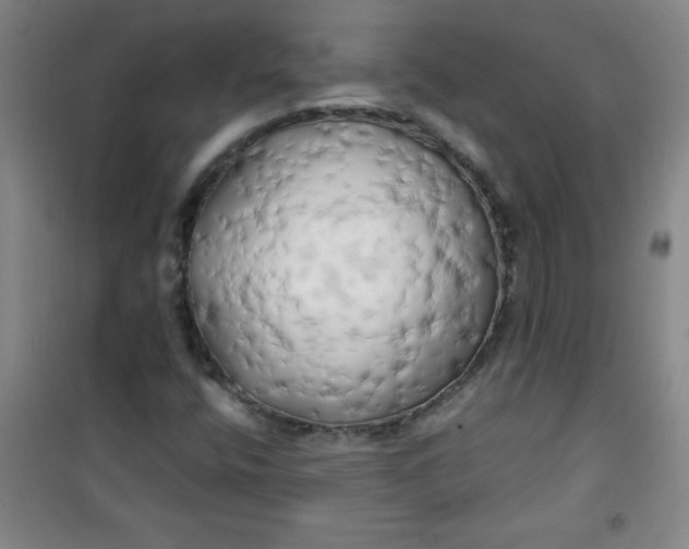 X0000100971400200807151340