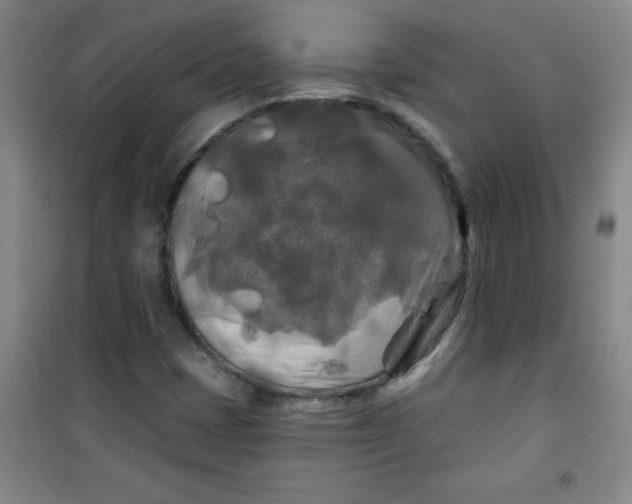 X0000100971401200807151340