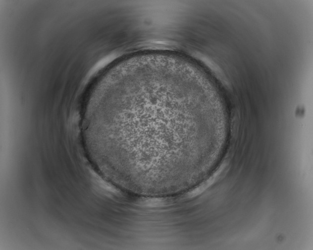 X0000100971402200807151340