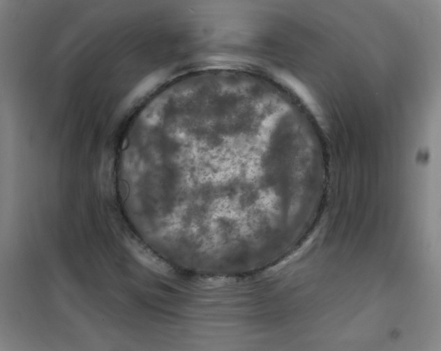 X0000100971403200807151340