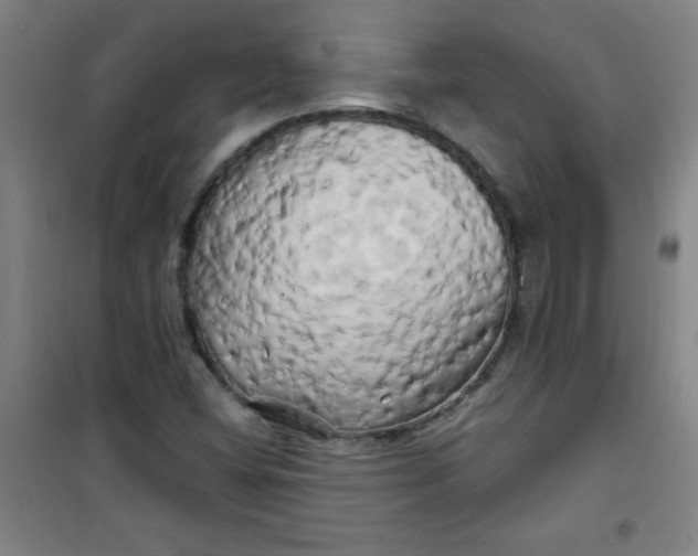 X0000100971404200807151340