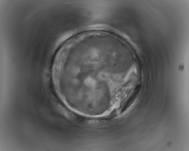 X0000100971405200807151340