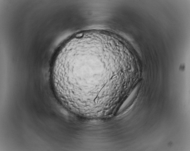 X0000100971406200807151340