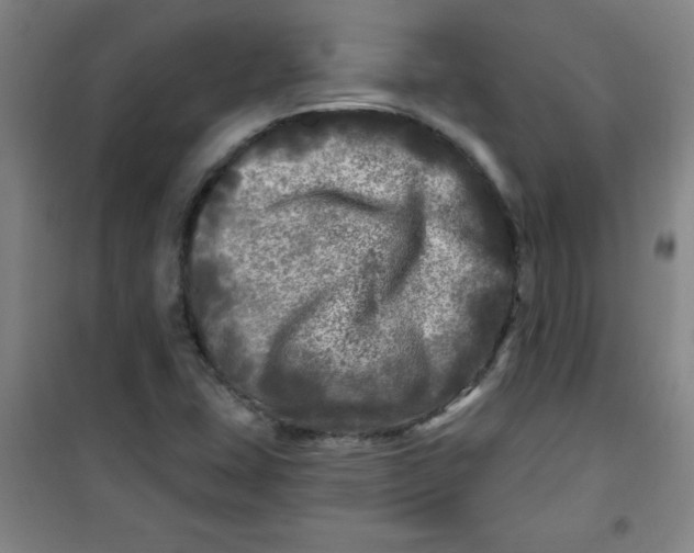 X0000100971407200807151340