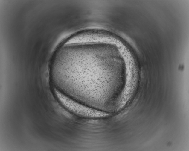 X0000100971408200807151340