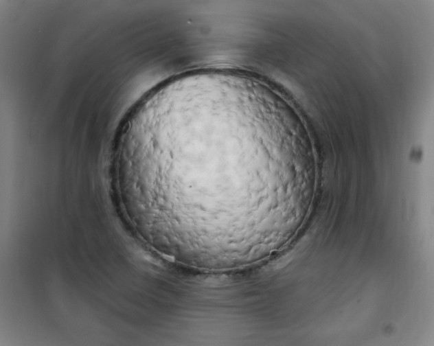 X0000100971410200807151340