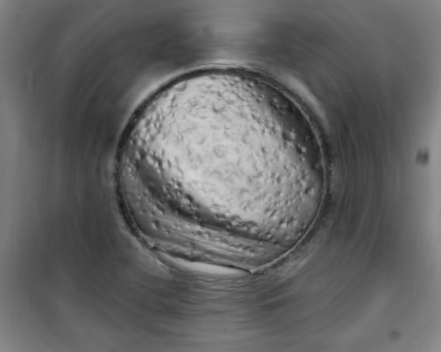 X0000100971412200807151340