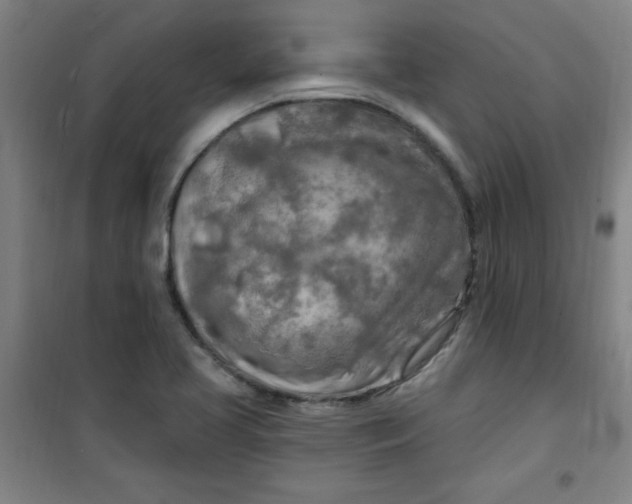 X0000100971413200807151340