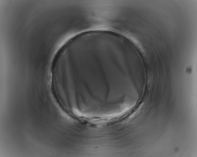 X0000100971414200807151340