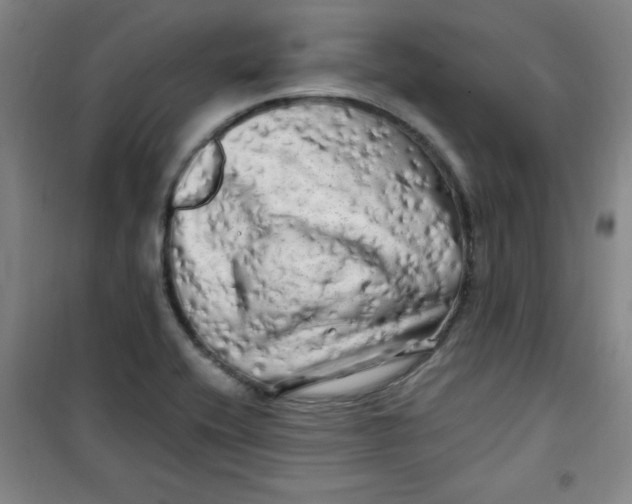 X0000100971416200807151340