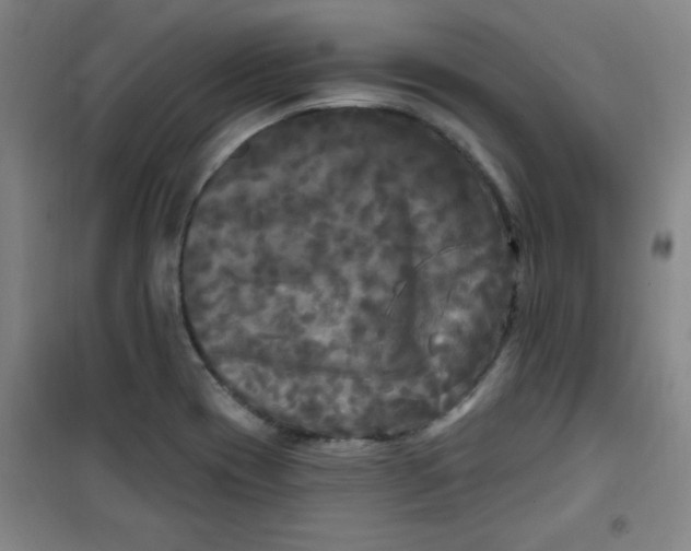 X0000100971417200807151340