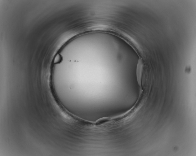 X0000100971418200807151340