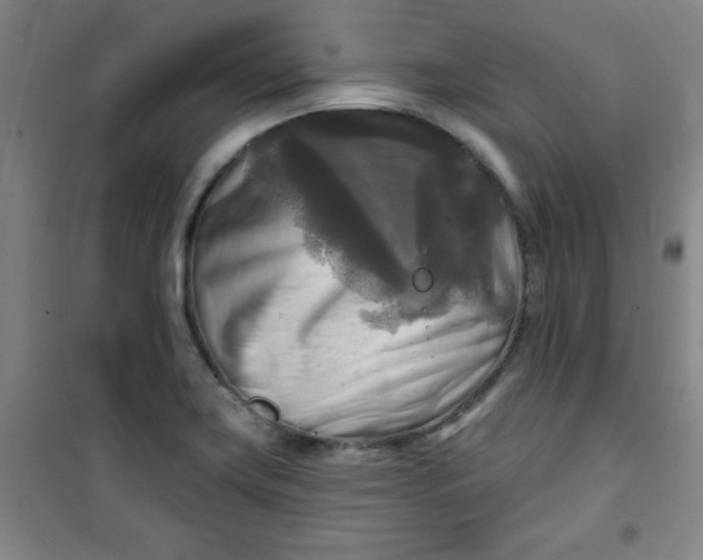X0000100971419200807151340