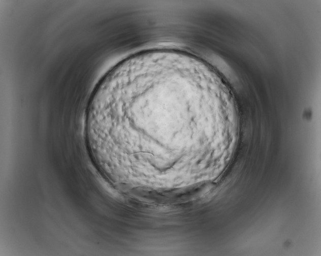 X0000100971420200807151340