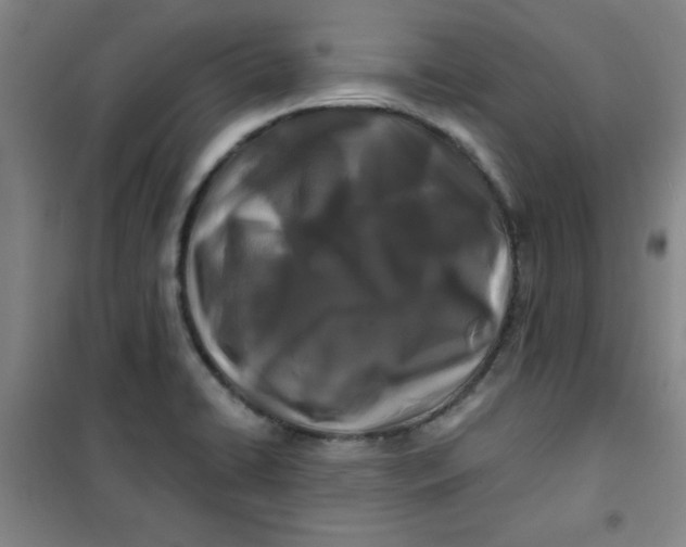 X0000100971422200807151340