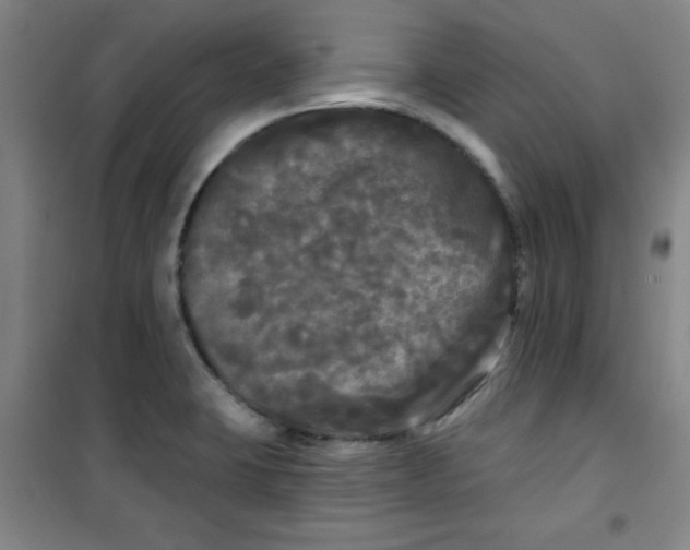 X0000100971423200807151340