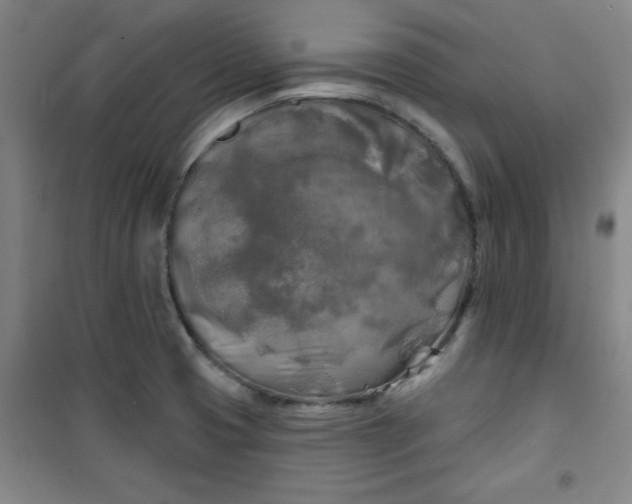 X0000100971425200807151340