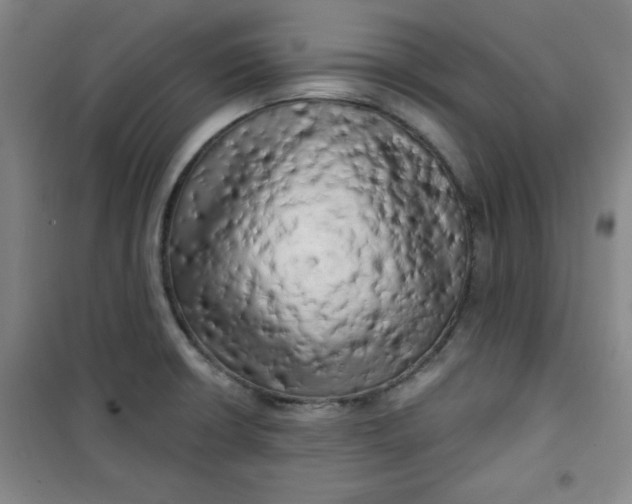 X0000100971426200807151340