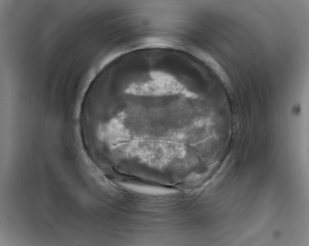 X0000100971427200807151340