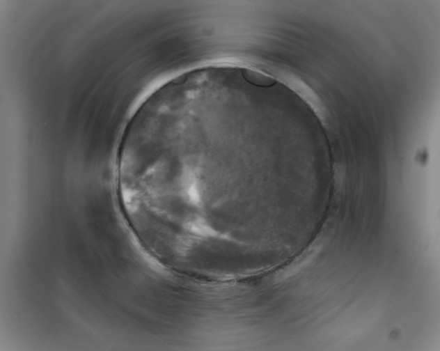 X0000100971428200807151341