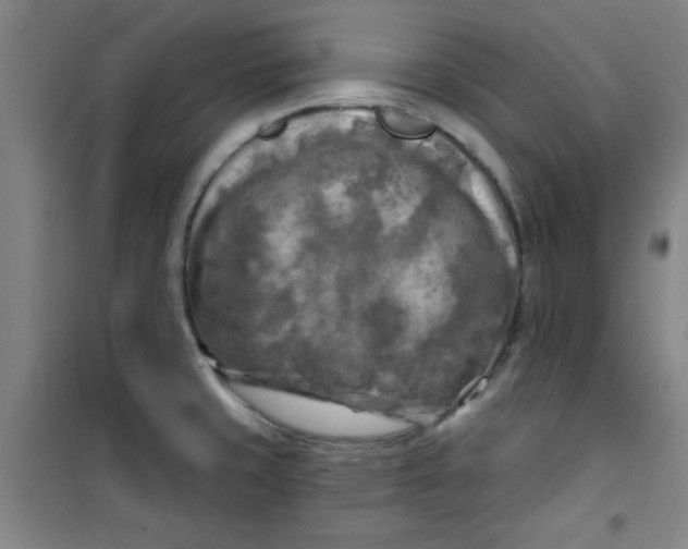 X0000100971429200807151341